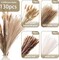 130PCS Dried Pampas Grass Bulks Fall Decor, 18" Natural Bunny Tail Grass, Boho Rustic Bouquet, Fall Decorations for Home, Farmhouse Table Vase & Wedding Decor